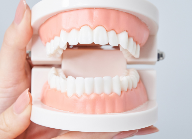 噛み合わせ治療で全身の健康をサポート｜かながわ歯科