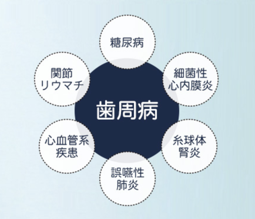 歯周病が引き起こす全身への影響｜かながわ歯科